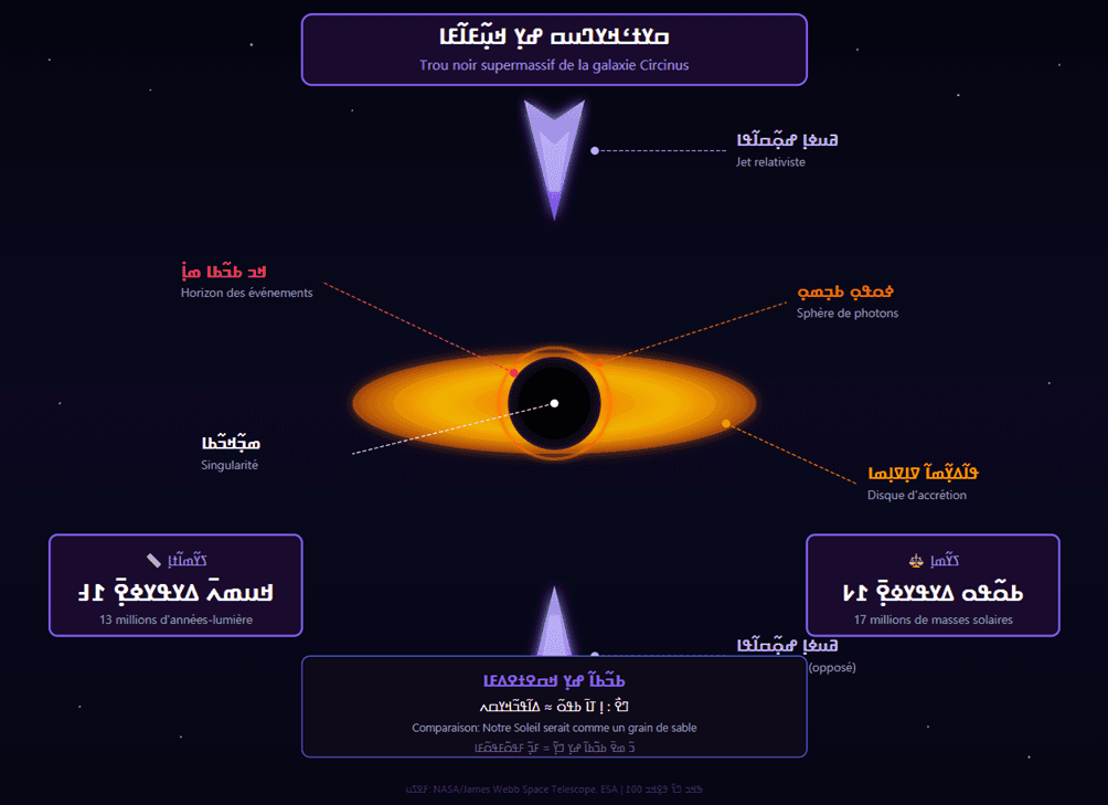 Illustration scientifique